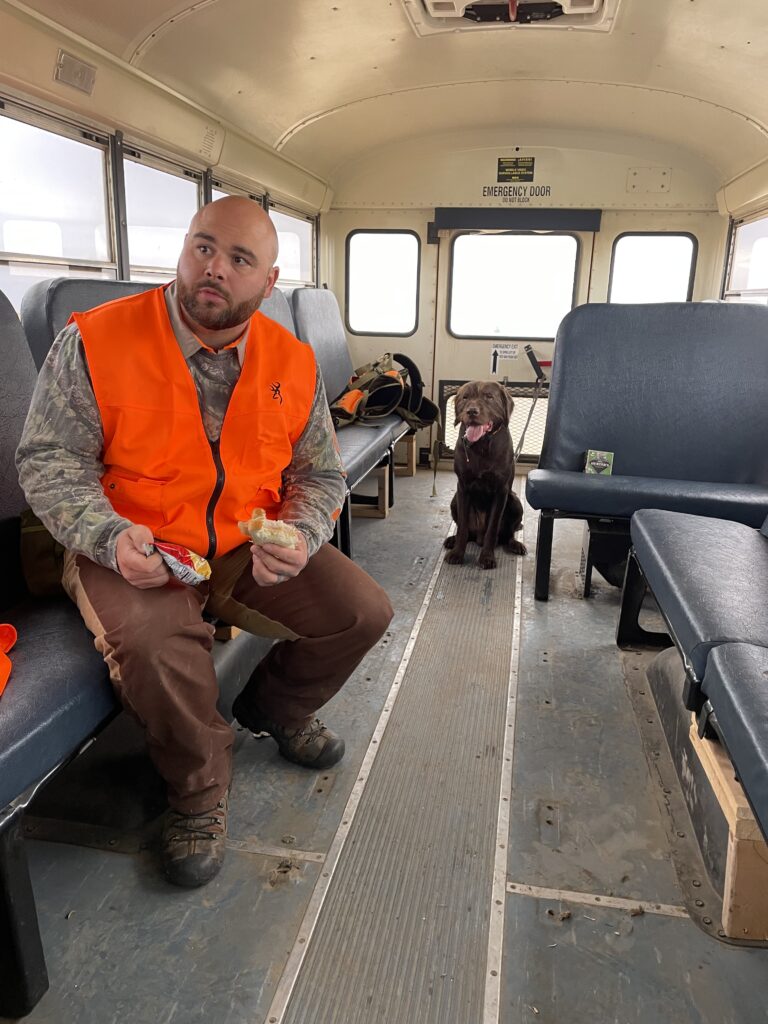 enzo vom hundehaus on the bus